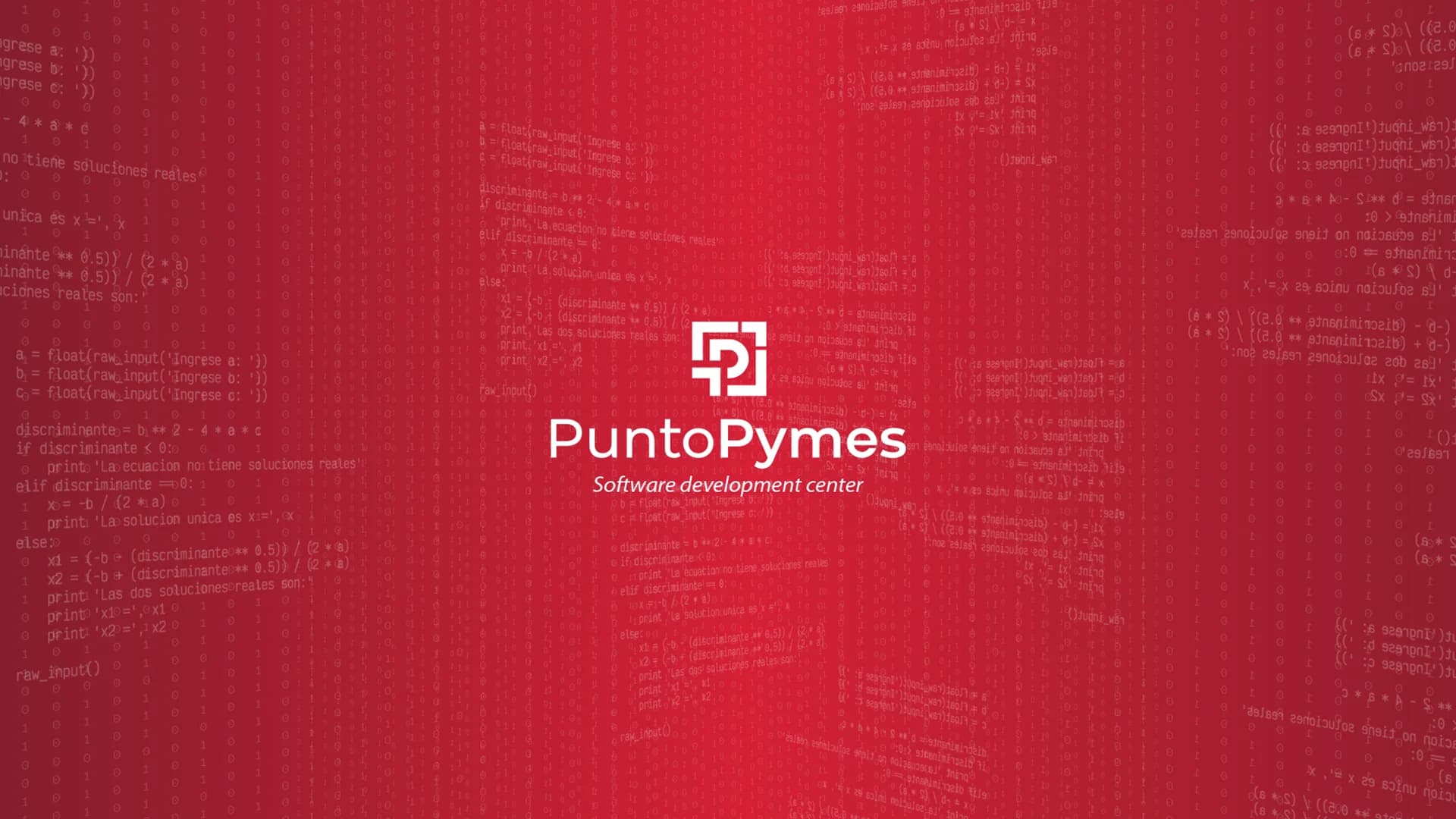 Imagen de Puntopymes - Nro.1